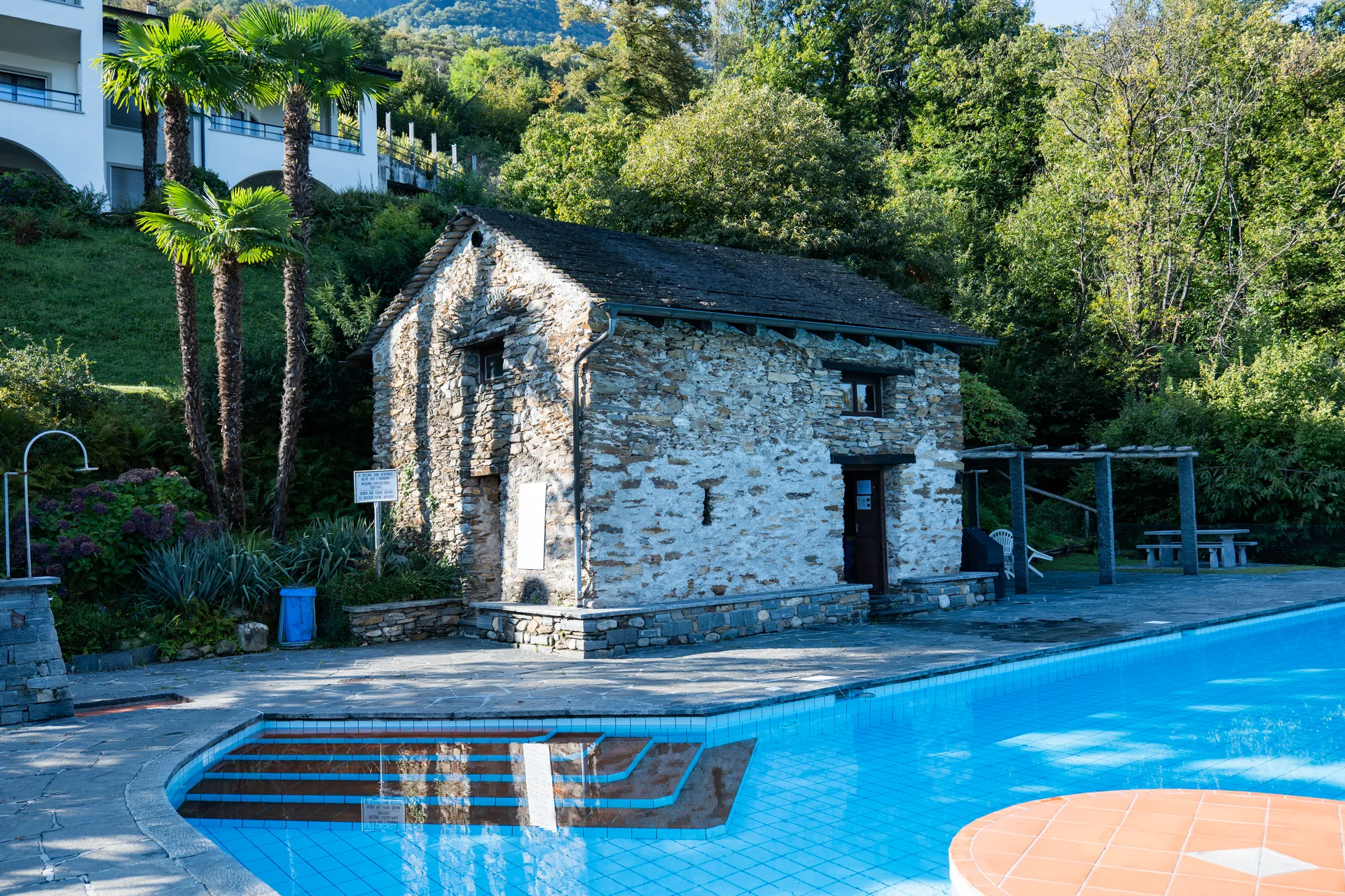 Swimmingpool Residenza Viramonte mit historischem Rustico und Palmen